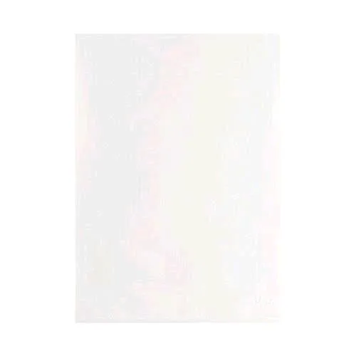Esselte Deuxe Buste a L Antiriflesso in PP CM 22X30 Trasparente Conf 100 Pz.