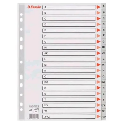 Esselte Divisorio per Rubrica Alfabetica in PP 225X297 mm Perforazione Universale 20 Tasti Grigio