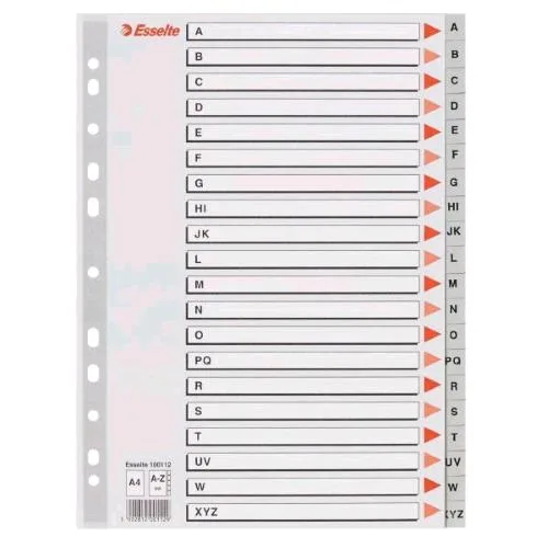 Esselte Divisorio per Rubrica Alfabetica in PP 225X297 mm Perforazione Universale 20 Tasti Grigio