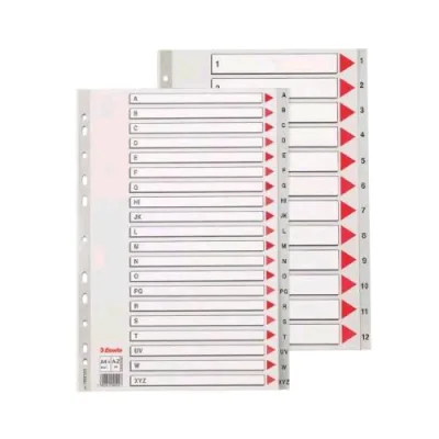 Esselte Divisorio per Rubrica Alfabetica in PP 245X297 mm Perforazione Universale 20 Tasti Grigio