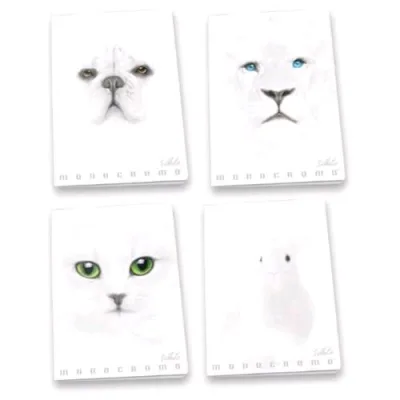 Pigna Monocromo White Quaderno Maxi A4 100g Righe 0C 19 Fogli Bianco Conf 10 Pz.