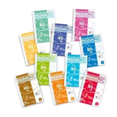 Pigna Qua Evol Ricambi Rinforzati a 4FORI A4 80 g Quadretti 4mm 40 Fogli Conf 1 Pz.