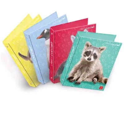 Pigna Raccoglitori Ad Anelli da 30 mm 27X32 cm Soggetti Assortiti Conf 5 Pz.