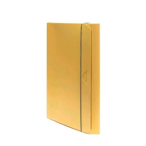 Fellowes Holos Cartella 3 Lembi in Polipropilene Riciclato 350X250X30 mm A4 con Elastico Giallo