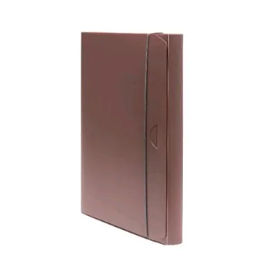 Fellowes Holos Cartella 3 Lembi in Polipropilene Riciclato 350X250X30 mm A4 con Elastico Marrone