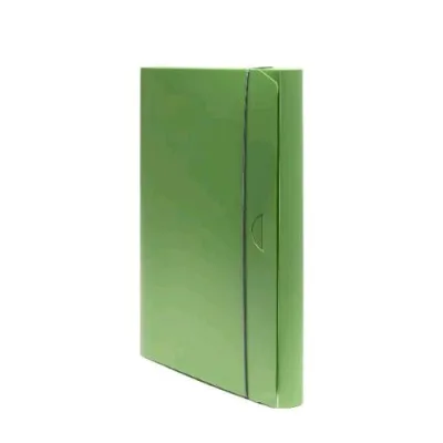 Fellowes Holos Cartella 3 Lembi in Polipropilene Riciclato 350X250X30 mm A4 con Elastico Verde