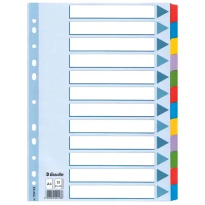 Esselte Mylar Intercalare in Cartoncino 225X297 mm 12 Tasti Colori Assortiti Conf 10 Pz.