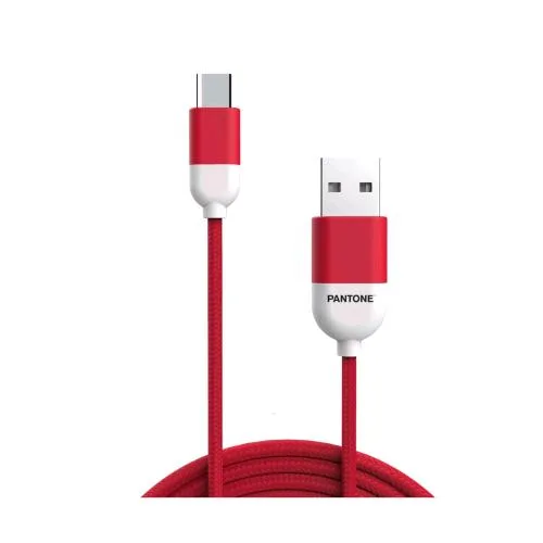 Pantone Cavo Adattatore di Ricarica da USB-A a USB-C 10 W 2.1A 1 m Bianco/Rosso