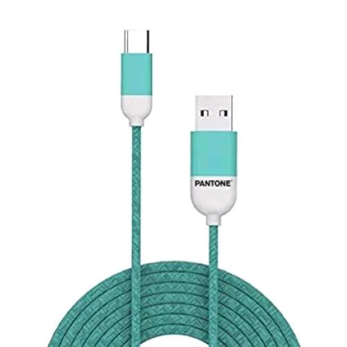 Pantone Cavo USB con Connettote USB Type-C 1,5 m Azzurro