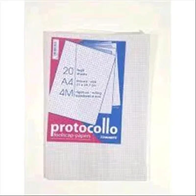 Blasetti Fogli Protocollo A4 Rigatura 4M 60g a Quadretti Conf 20 Fogli